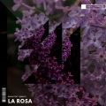 Radia、Quimico - La Rosa
