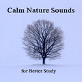 Calm Nature Sounds for Better Study - Deep Concentration, Focus Control, Good Results