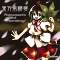 Phantasmagoria mystical expectation