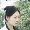 故笙诉离歌 - 江上晚风吟