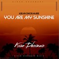 Kiran Dhormare - You Are My Sunshine