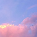 某阿孜 - 恋爱画板
