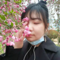 高丹丹 - 梦中的兰花花