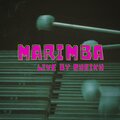 TRAP CITY BEATS - Marimba (live session)