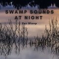Swamp Sounds at Night for Sleep