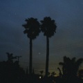 EmoFlyTrap、Goul - on nights like these i'm happy i don't own a gun.