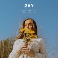 Guy Didden、Tosca - Joy (feat. Tosca)