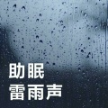 自然雨声:雨中森林