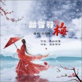 司纯刚 - 踏雪寻梅