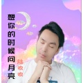 想你的时候问月亮