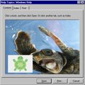 Damon Joaquin Hernandez、HiAlyx、Remi - really happy turtle (Explicit)