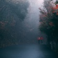 Naturaleza Sonidos、Sonido de lluvia、Escola de Meditação - Viaje A La Relajación