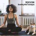 Brain Timbre、Binaural Shapers、Spa Music & Meditation Collective - Gentle Focus