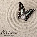 Essence of Meditation Session – Peaceful New Age Melodies for Contemplations and Yoga