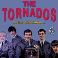 The Tornados - Telstar (25 Titles 1962)
