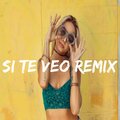 Dj Viral Challenge Social、Dj Viral TikToker - Si Te Veo (Remix)