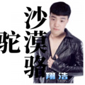 李传胜 - 沙漠骆驼