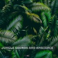 Angie Hawke - In the Jungle