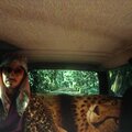 Thiago Nassif、CORNELIUS - Thiago Nassif - Pele de Leopardo (CorneliusRemix)