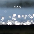 Ivo Paunov - Previs