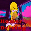 Electronic - Homer Driving