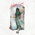 Memoria XI - Monte Carlo (Explicit)