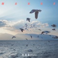 慢热（Slow fever）