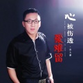 唐大鹏 - 心被伤透爱难留