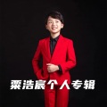 陈蔷 - 柳柳之歌