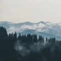 画久 - 江上晚风吟