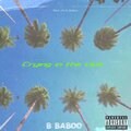 B Baboo - Krank (Explicit)