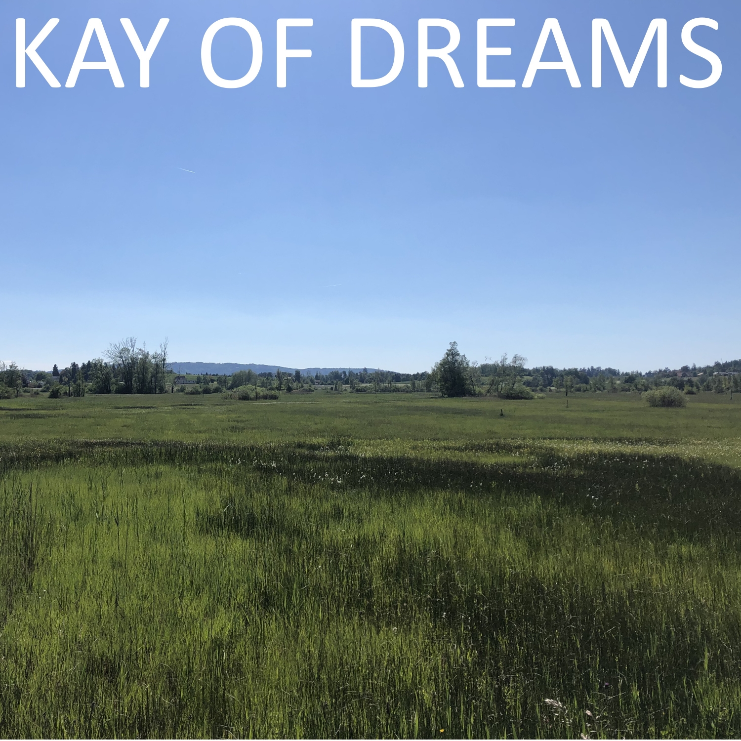 Kay of Dreams