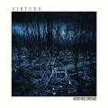 Virtues - Disillusioned