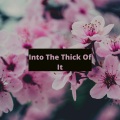 Dj Viral TikToker - Into The Thick Of It