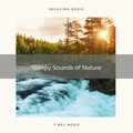 Fresh Water Sounds - The Recharge of Running Brook