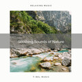 Fresh Water Sounds - Sleepy Noises of Wild Birds Calls with Clear Stream