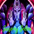 Electronic - Survey Selva