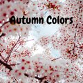 Autumn colors