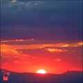 Stream Juice - Vibing Cats