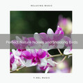 Echoes Of Nature - Feel Unique Relax with Calm Nature Tunes for Calm down pt. 2