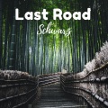 Schwarz - Last Road