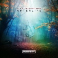 Afterlife (Original Mix)