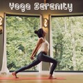 Yoga Music Yoga、Yoga & Meditación、Yoga Rain - Distant Memory