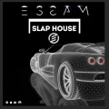 DJ Live - Slap House