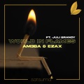 Juli Brandy、Satsuma Music、Am3ba & Ezax - World in Flames (Explicit)