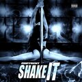 Bobby Tucker、Dayshawn Hendricks、2Diffrent - Shake It (Explicit)