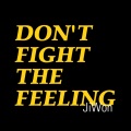 JiWon拾贰不二 - Don't Fight The Feeling