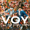 Costa & Quanta、Julius Zwirtmayr、Julius Gibus、Coverrun、Peter Kreuzer - VOY