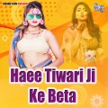 Haee Tiwari Ji Ke Beta