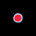 Catalyst - The Name